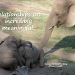 Relationships That Matter