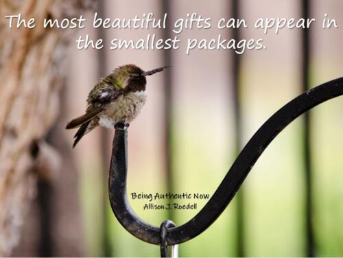 Beautiful Gifts - Small Packages